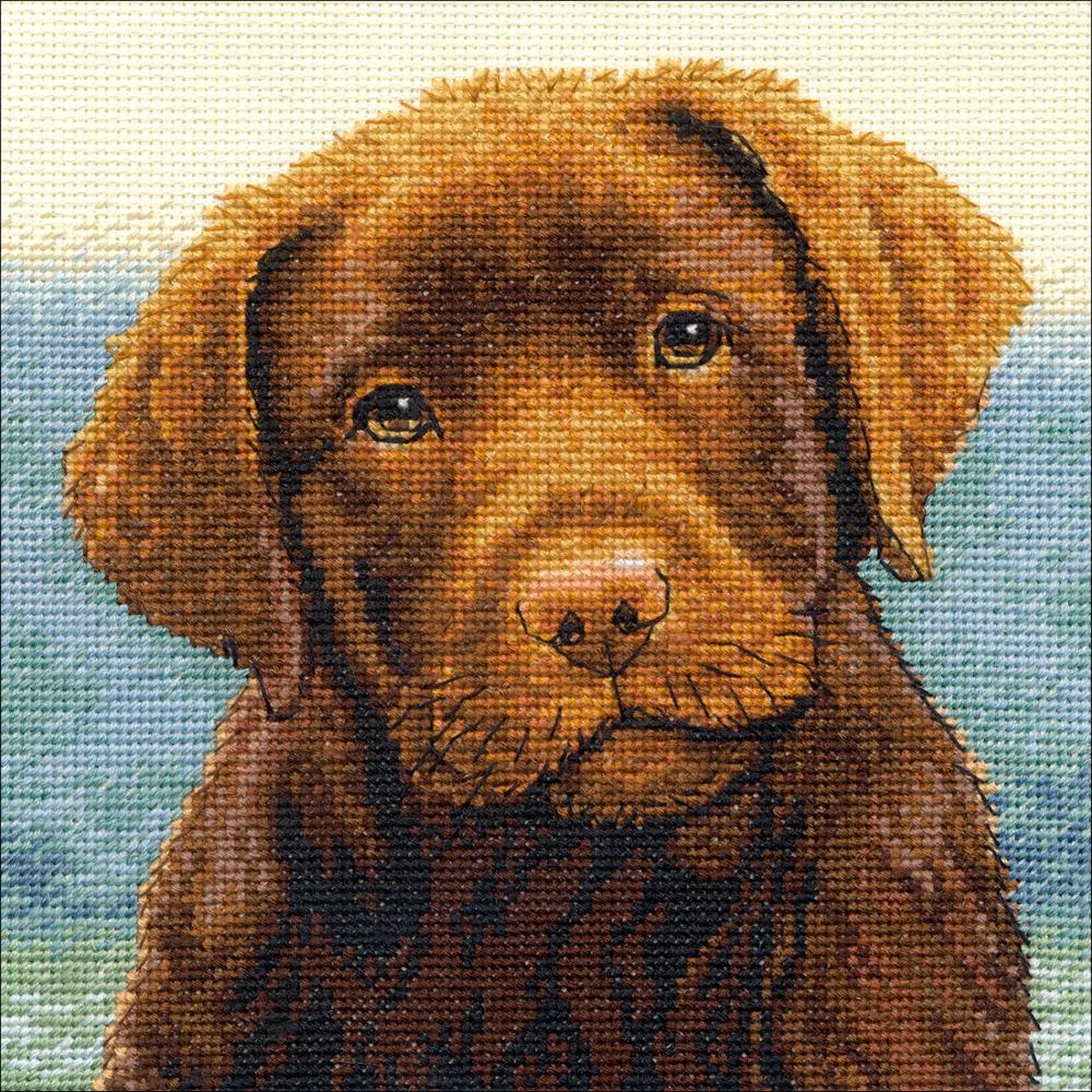 Gold Petites Hot Chocolate Counted Cross Stitch Kit